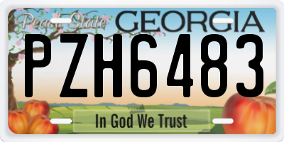 GA license plate PZH6483