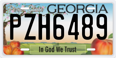GA license plate PZH6489