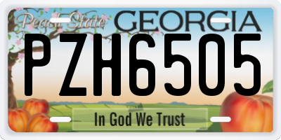 GA license plate PZH6505