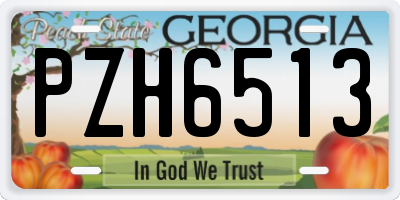 GA license plate PZH6513