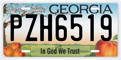 GA license plate PZH6519