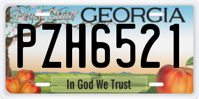 GA license plate PZH6521
