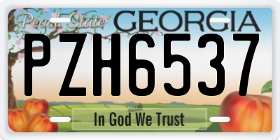 GA license plate PZH6537