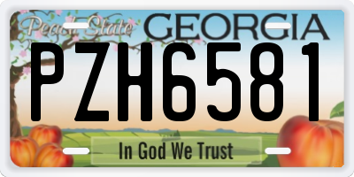 GA license plate PZH6581