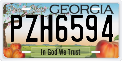 GA license plate PZH6594