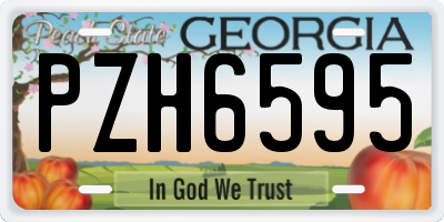 GA license plate PZH6595