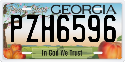 GA license plate PZH6596