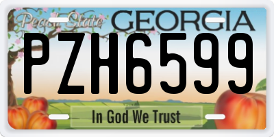 GA license plate PZH6599