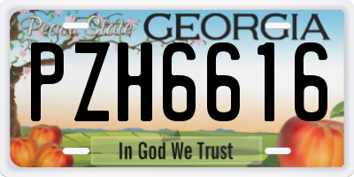 GA license plate PZH6616