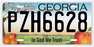 GA license plate PZH6628