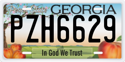 GA license plate PZH6629