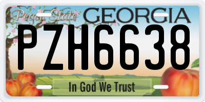 GA license plate PZH6638