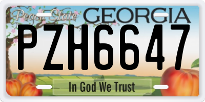 GA license plate PZH6647