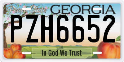 GA license plate PZH6652