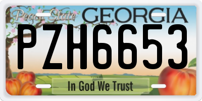 GA license plate PZH6653