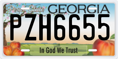 GA license plate PZH6655
