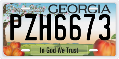 GA license plate PZH6673