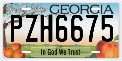 GA license plate PZH6675
