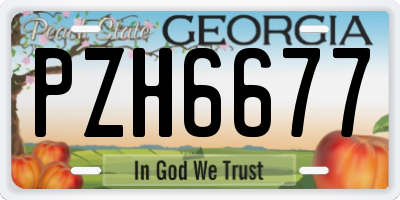 GA license plate PZH6677