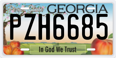 GA license plate PZH6685