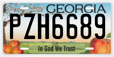 GA license plate PZH6689