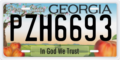 GA license plate PZH6693