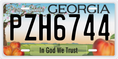 GA license plate PZH6744
