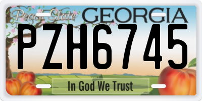 GA license plate PZH6745