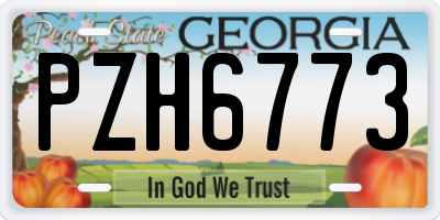GA license plate PZH6773