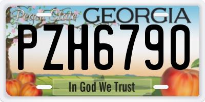 GA license plate PZH6790