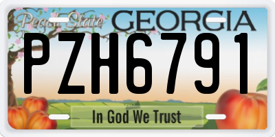 GA license plate PZH6791