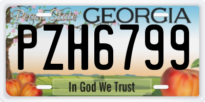 GA license plate PZH6799