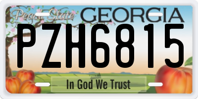 GA license plate PZH6815
