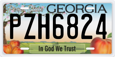 GA license plate PZH6824