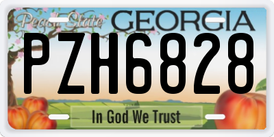 GA license plate PZH6828