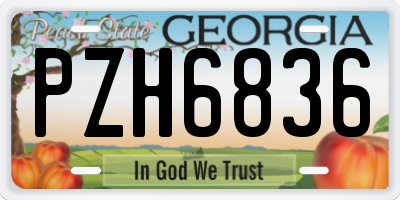 GA license plate PZH6836