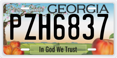 GA license plate PZH6837