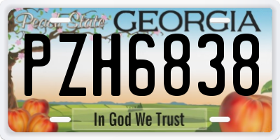 GA license plate PZH6838