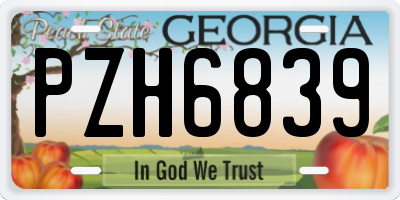 GA license plate PZH6839