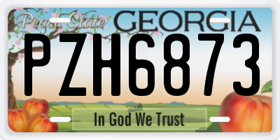 GA license plate PZH6873