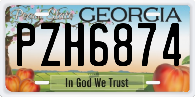 GA license plate PZH6874