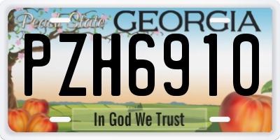 GA license plate PZH6910
