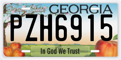 GA license plate PZH6915