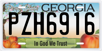 GA license plate PZH6916