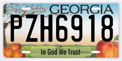GA license plate PZH6918