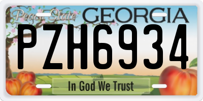 GA license plate PZH6934