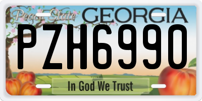 GA license plate PZH6990
