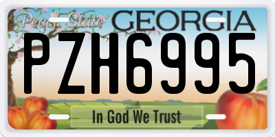 GA license plate PZH6995