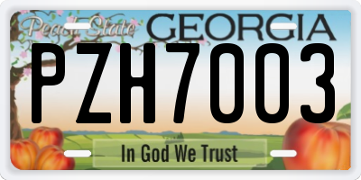 GA license plate PZH7003