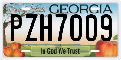 GA license plate PZH7009